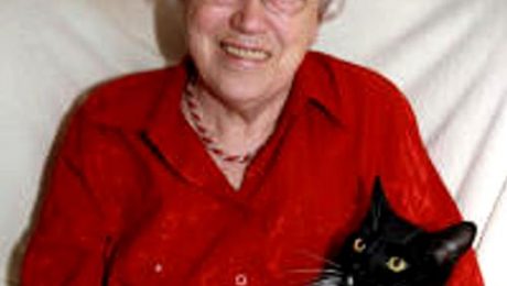 Katzen-Fuersorge-in-Niedersachsen-2012