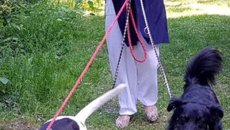 Alida mit Nando u. Loran-2