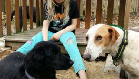 IMG-20180408-WA0005-3