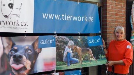 tierwork Plakat-50%