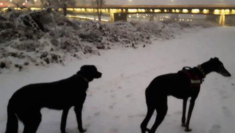 Lleida-01.2021-im Schnee