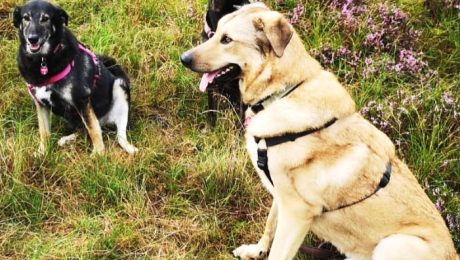 IMG_20190818_181615 – Kopie