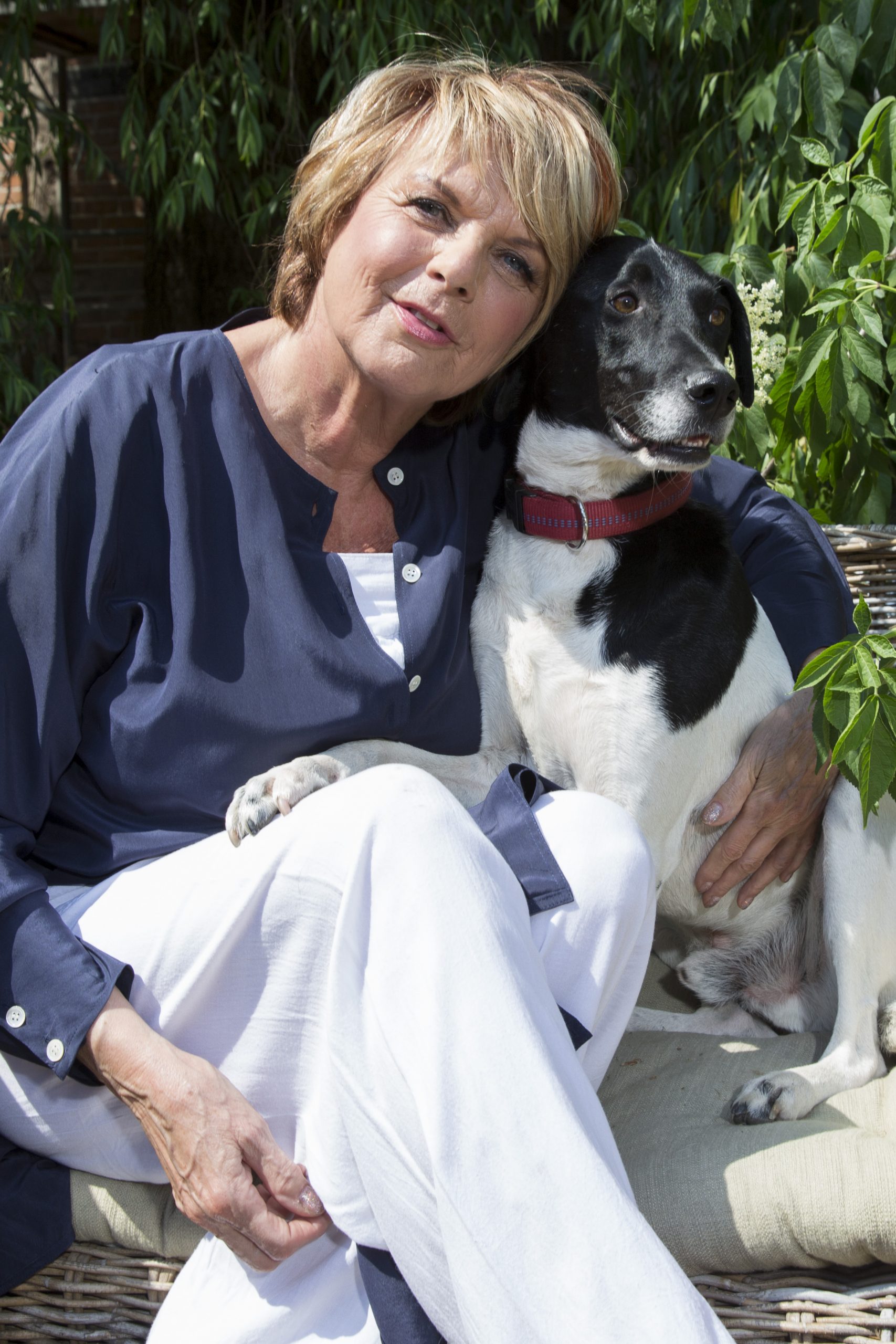 Alida Gundlach Hunde