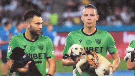 Fussballer mit Hunden