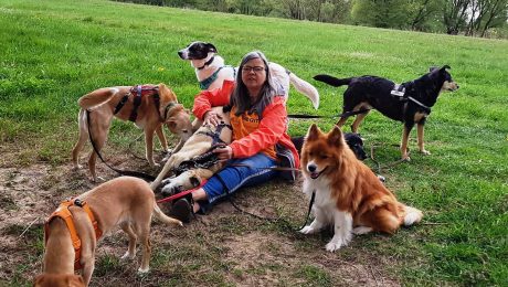 Wilhelms‘ Rudelfreude Mai 22