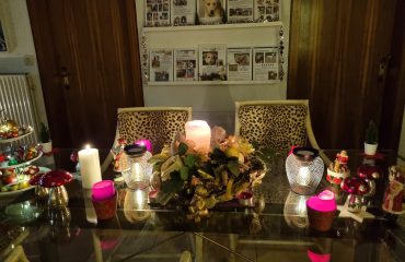 Beitragsbild Alternative 2