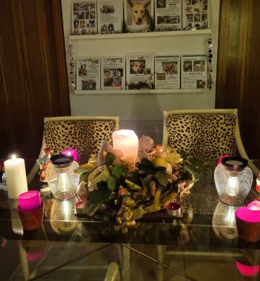 Beitragsbild Alternative 2