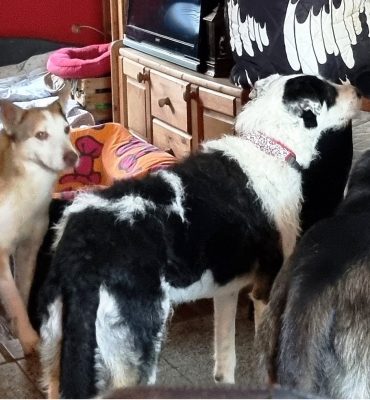 20260117_112236 – Kopie