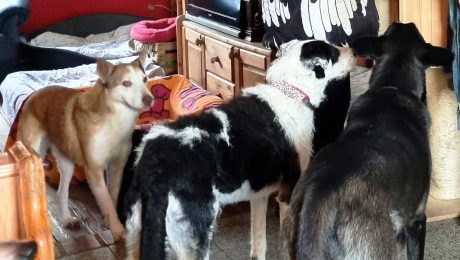 20260117_112236 – Kopie