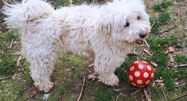 1. IMG-20260417-WA0001