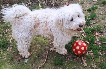 1. IMG-20260417-WA0001