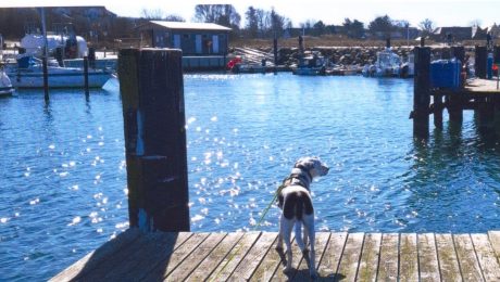 Scan_20260501-2