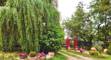Scan_20260529