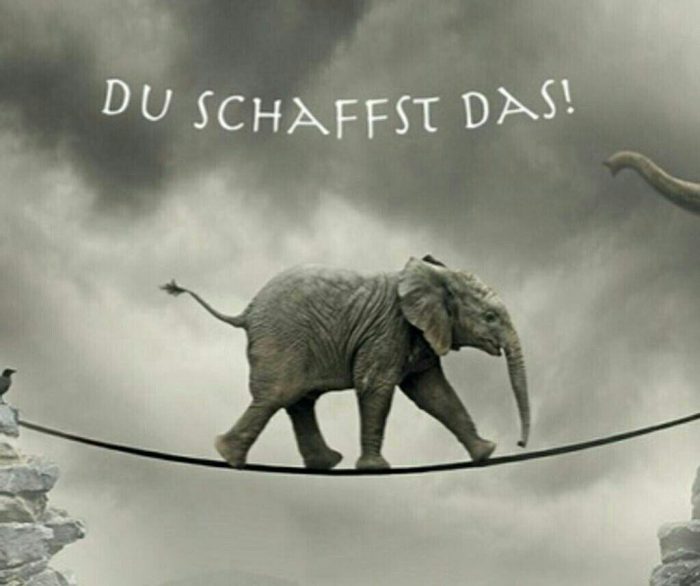 Du schafft das...